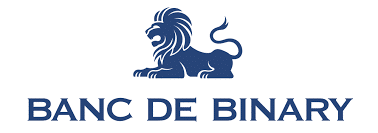 Cosa sono le binary options