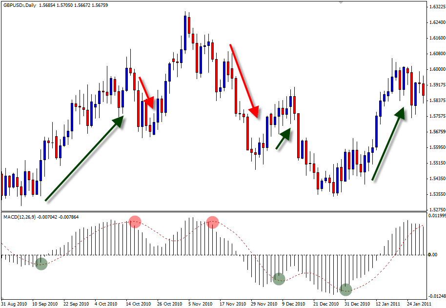 Options trading video course
