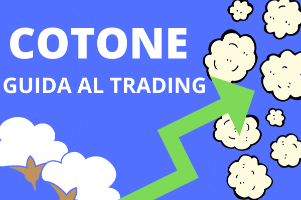 Guida al trading del cotone