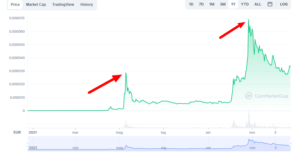 Grafico che mostra l'andamento di Shiba Inu nell' ultimo anno.