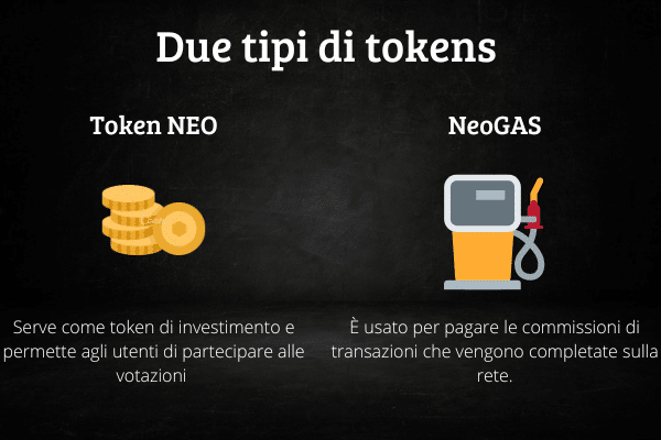 Infografica che mostra le differenze tra il token NEO e il NeoGAS.